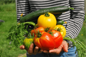 speaking about vegetables