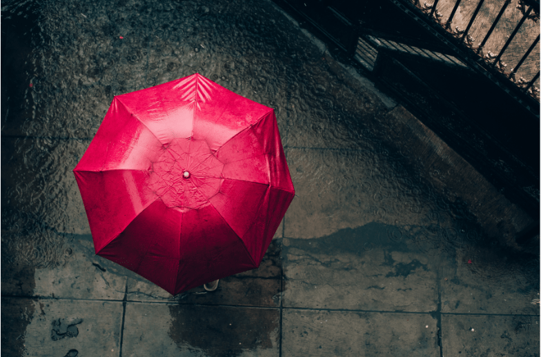 Autobiography of a Umbrella