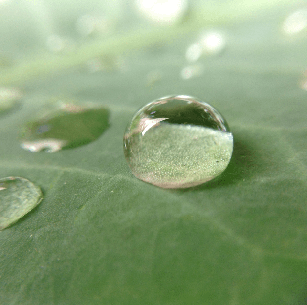 The Lonely Raindrop